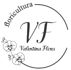 Floricultura Valentina